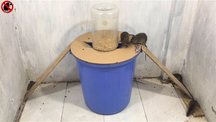 Easiest Homemade Rat Trap
