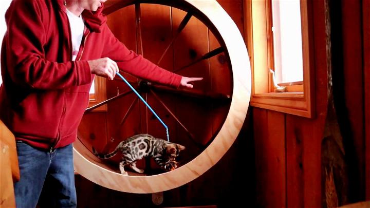 Easy and Inexpensive DIY Cat wheel