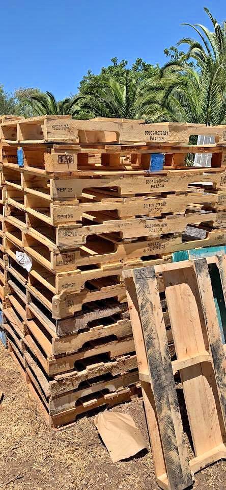 Find Wooden Pallets for free