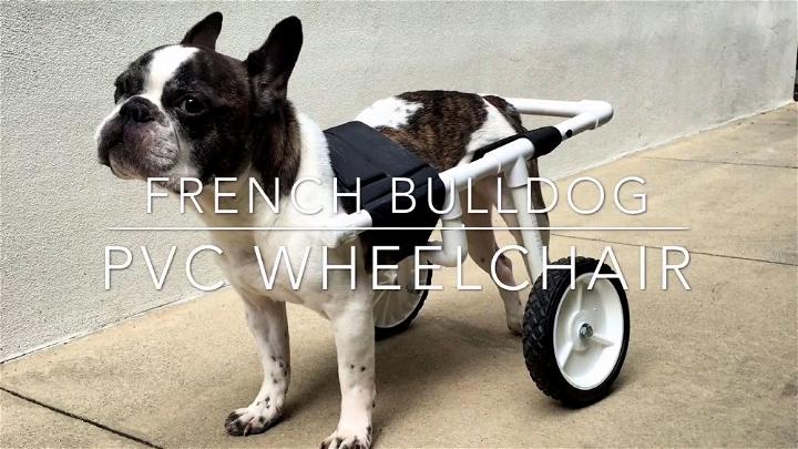 Making a French Bulldog PVC Dog Wheelchair