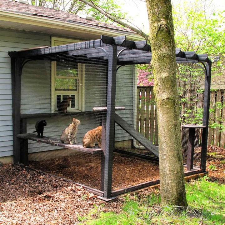 Garden Pergola Cat Enclosure Ideas