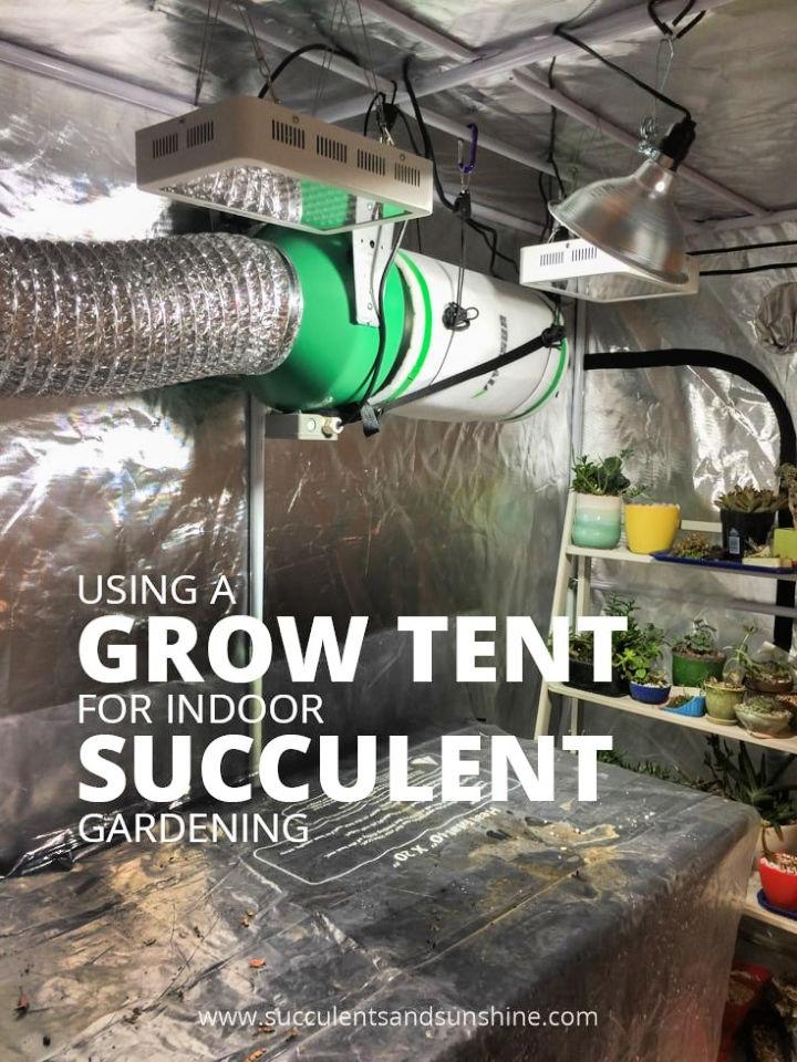 Handmade Grow Tent for Indoor Succulents