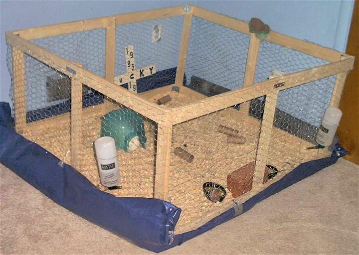 Guinea Pig Cage Design