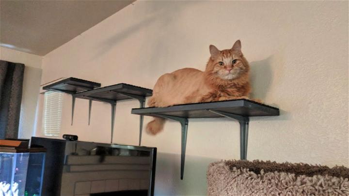 Homemade Cat Shelves
