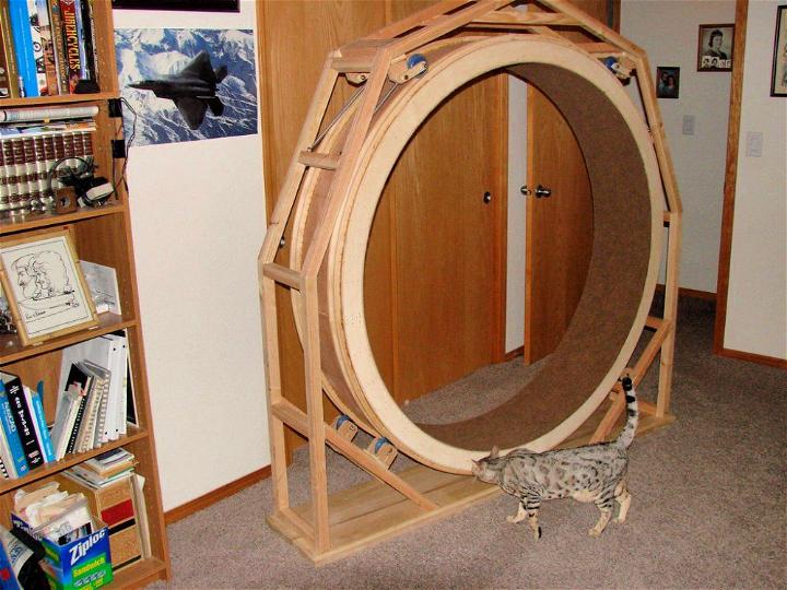 Homemade Cat Wheel