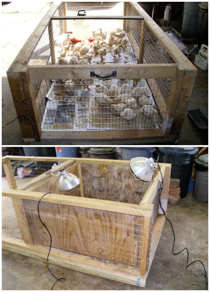 Brooder Box Or Rabbit Cage Combination