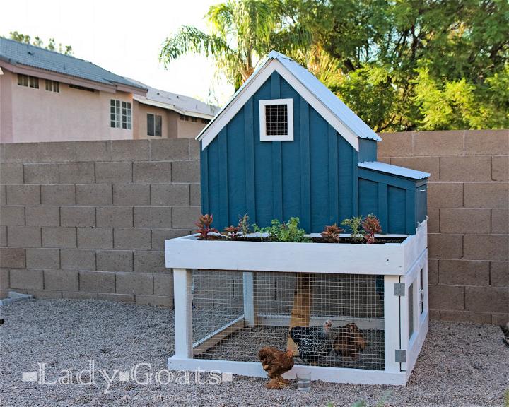 Homemade Chicken Coop