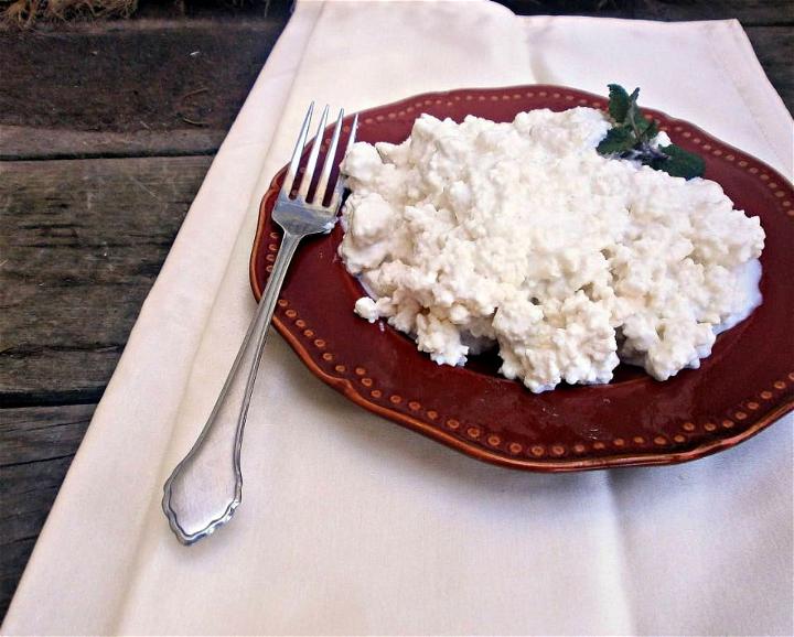 Homemade Cottage Cheese With Vinegar