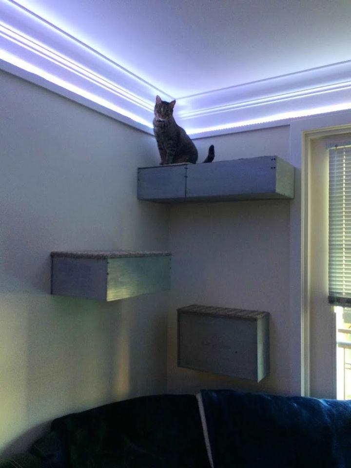 How to Build Cat Shelves
