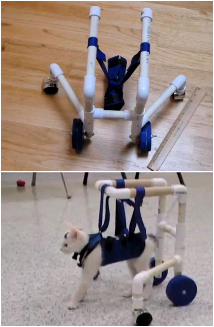 How to Build Cat Wheelchair