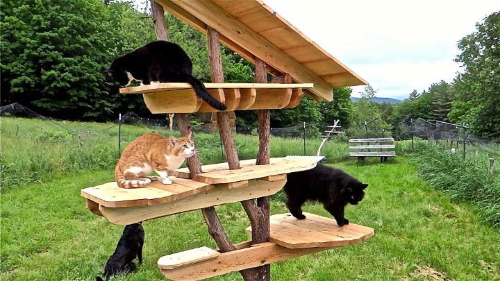 How to Build Outdoor Cat Tree