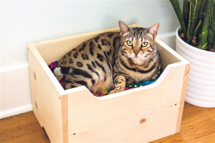 How to Build a Cat Bed