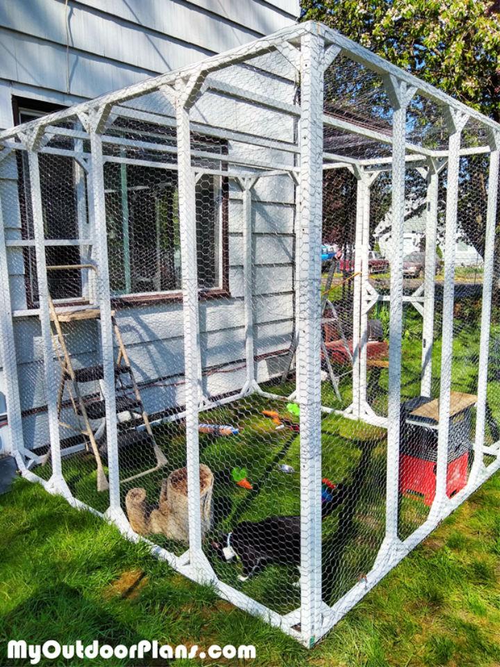 Catio 2024 free plans