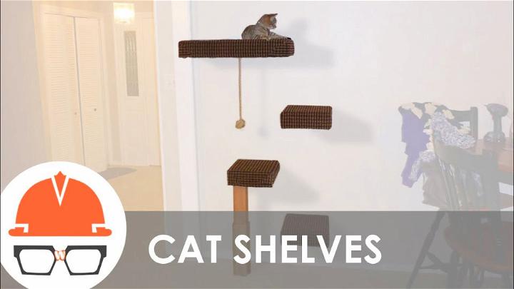 How to Build a Wall mounted Cat Tree