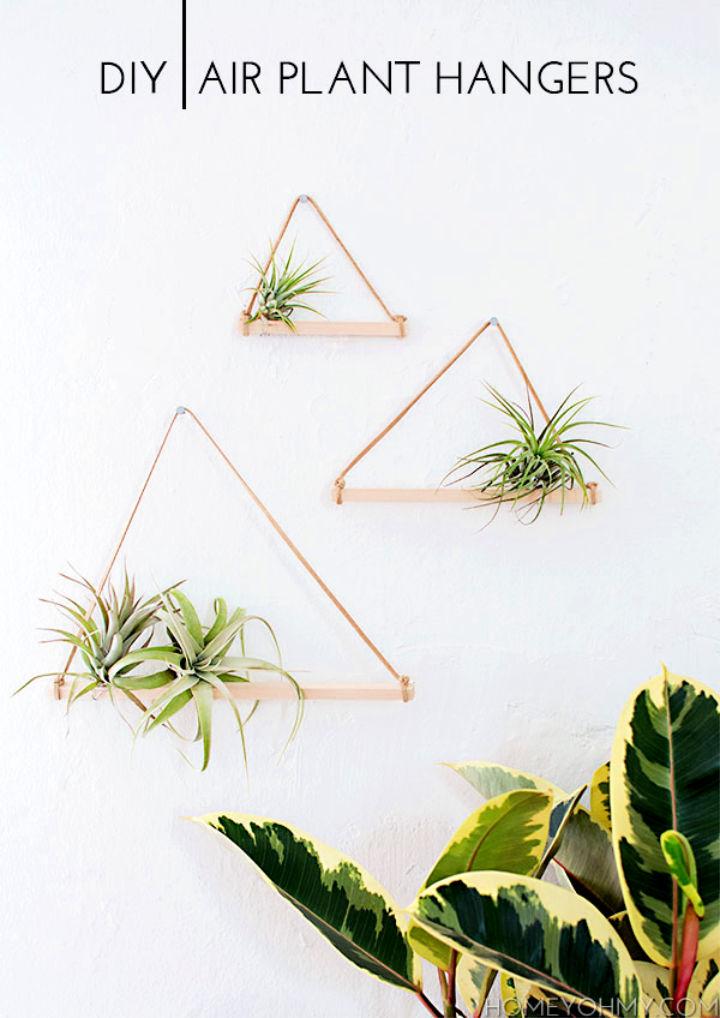 DIY air plant pots – almost makes perfect