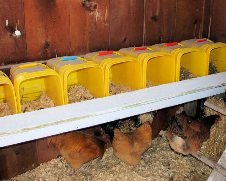 How to Make Nesting Box for Chickens