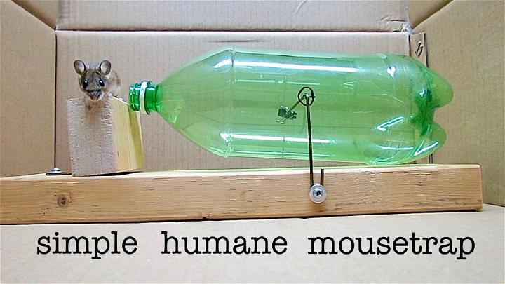 How to Make a Bottle Mousetrap
