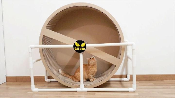 How to Make a Cat Wheel