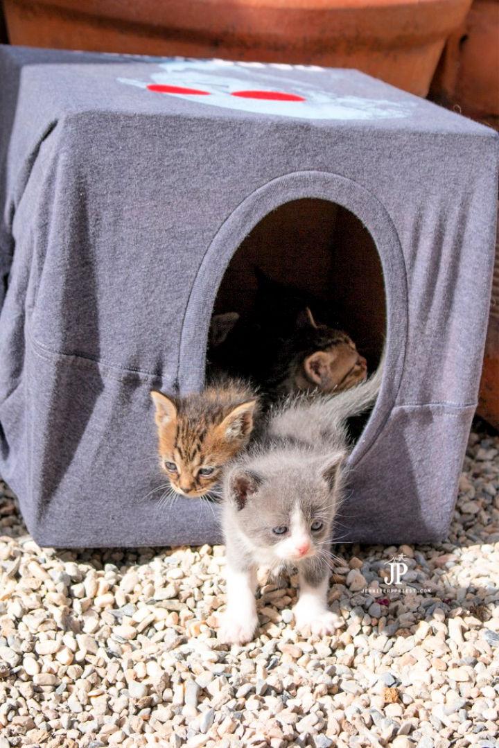 How to Make a Cheap Outdoor Cat House