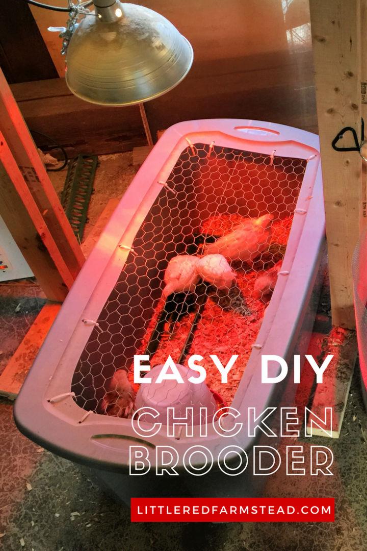 How to Make a Chicken Brooder