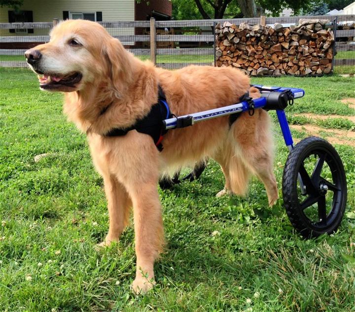 20+ Diagram Diy Dog Wheelchair ShoannFinton