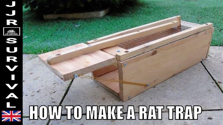 How to Make a Rat Trap at Home