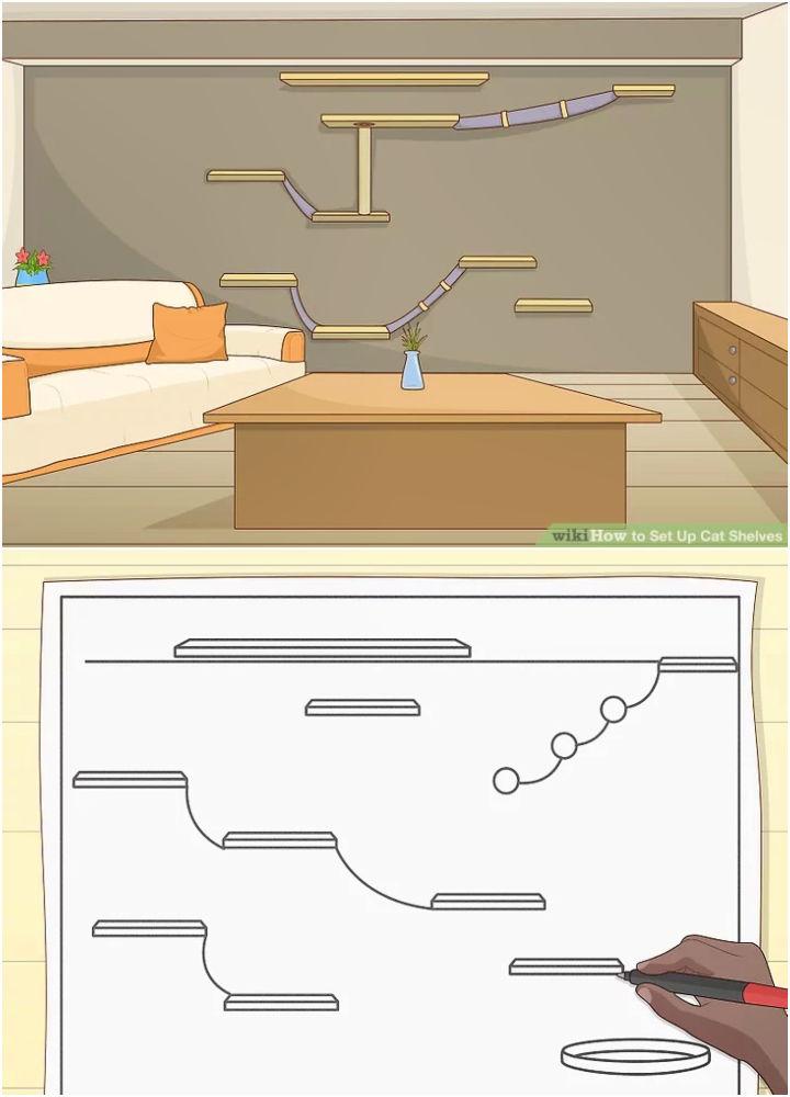 How to Set Up Cat Shelves