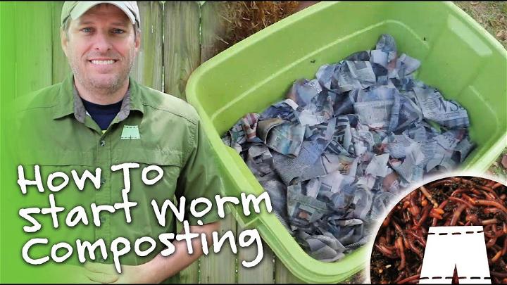 Make a Worm Farm With Ste by Step Guide