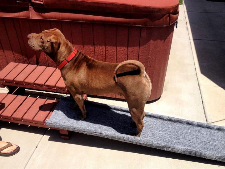 Inexpensive DIY Doggie Ramp