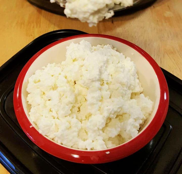 Instant Pot Cottage Cheese Recipe