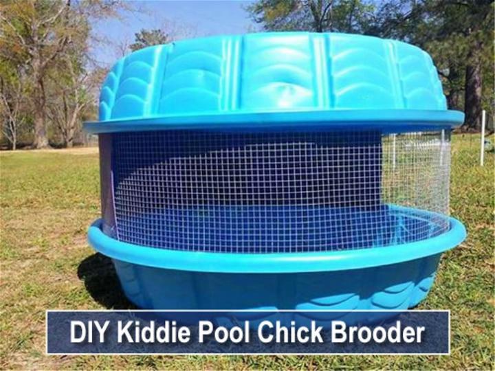 Kiddie Pool Chick Brooder