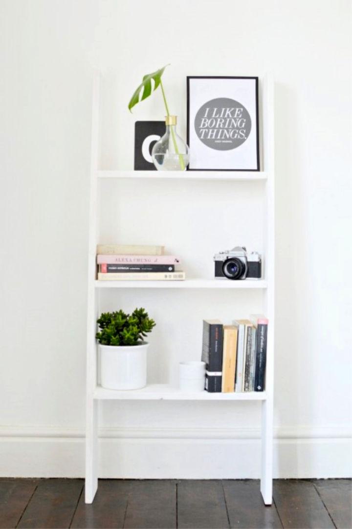 DIY Ladder Shelf for Small Space