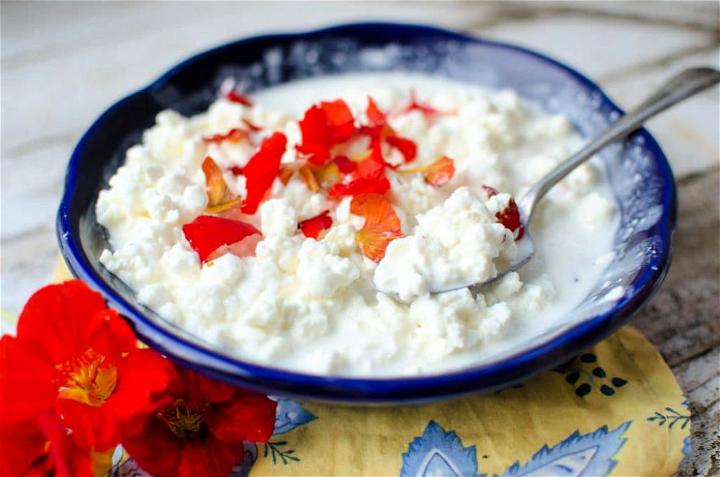 Learn to Make Cottage Cheese
