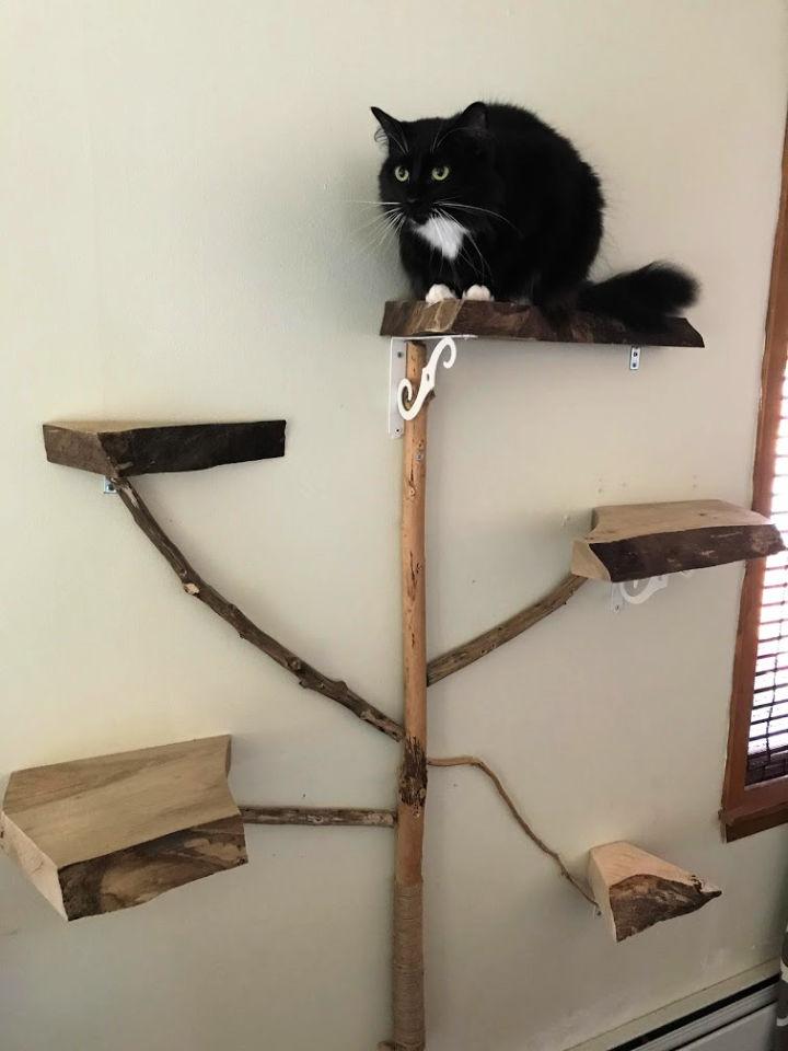 DIY Live Edge Wood Shelf Wall Cat Tree