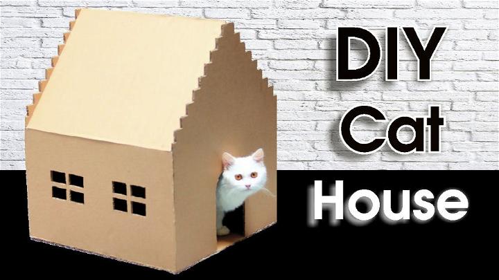 Make Cat House Out of Cardboard at Home