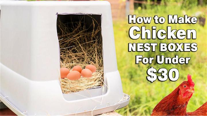 DIY Chicken Nest Boxes for Under $30