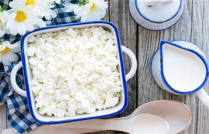 Make Cottage Cheese from Scratch