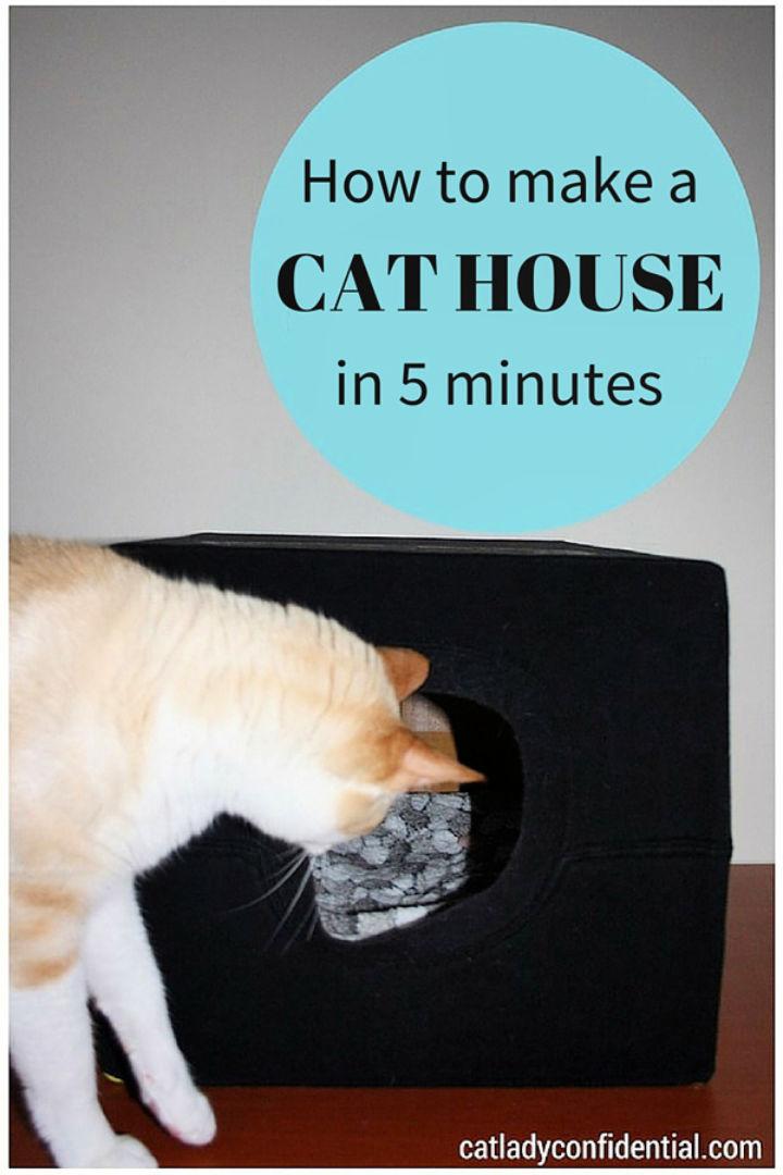 Make a Cat House In 5 Minutes