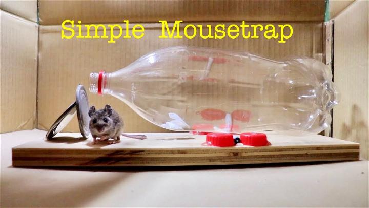 Make a Simple Bottle Mousetrap