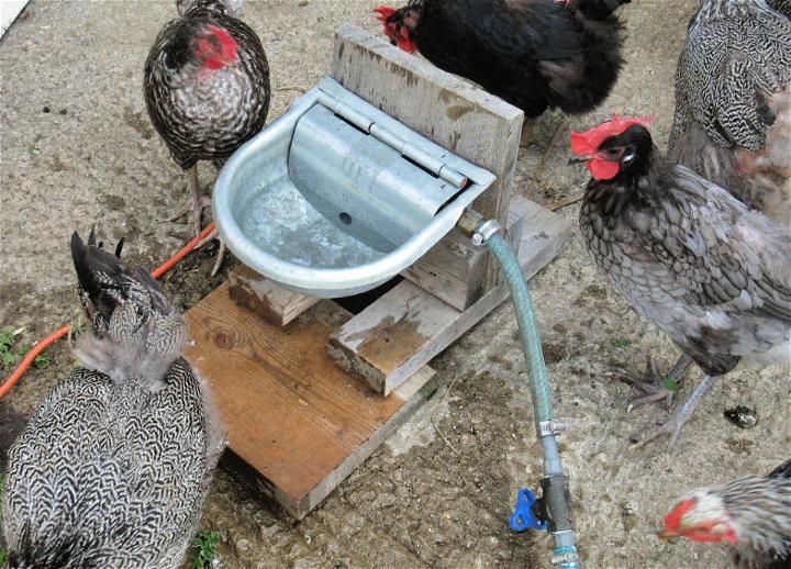Make an Automatic Chicken Waterer