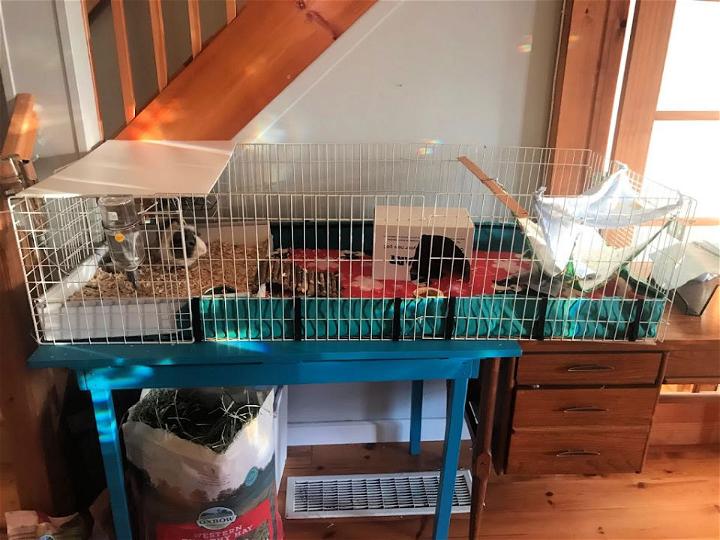 Midwest Habitat Guineapig Cage