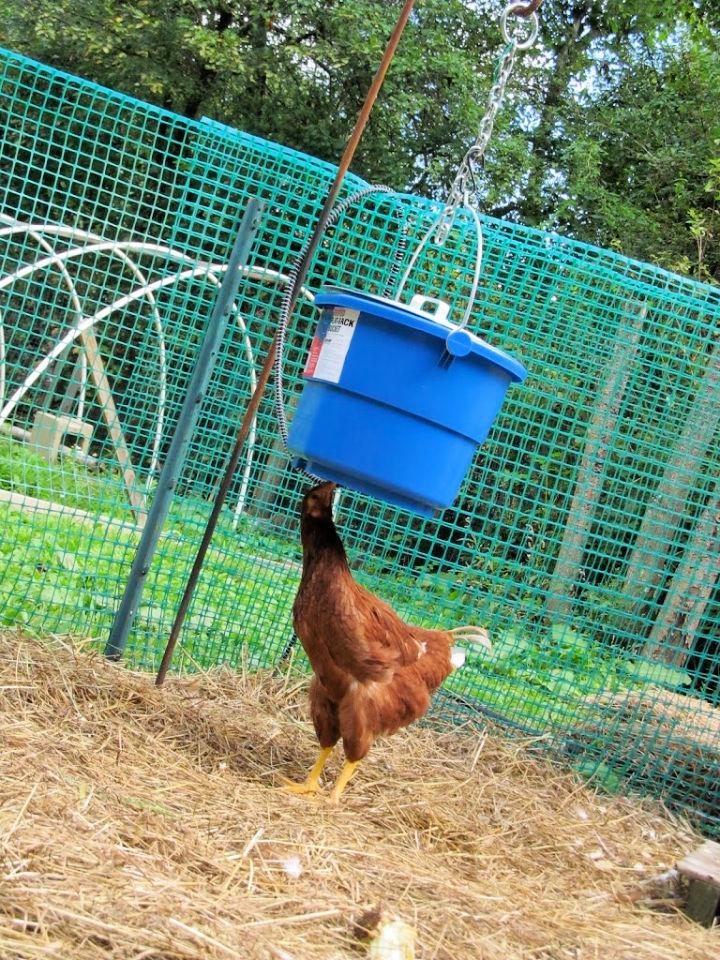 DIY Nipple Valve Chicken Waterer