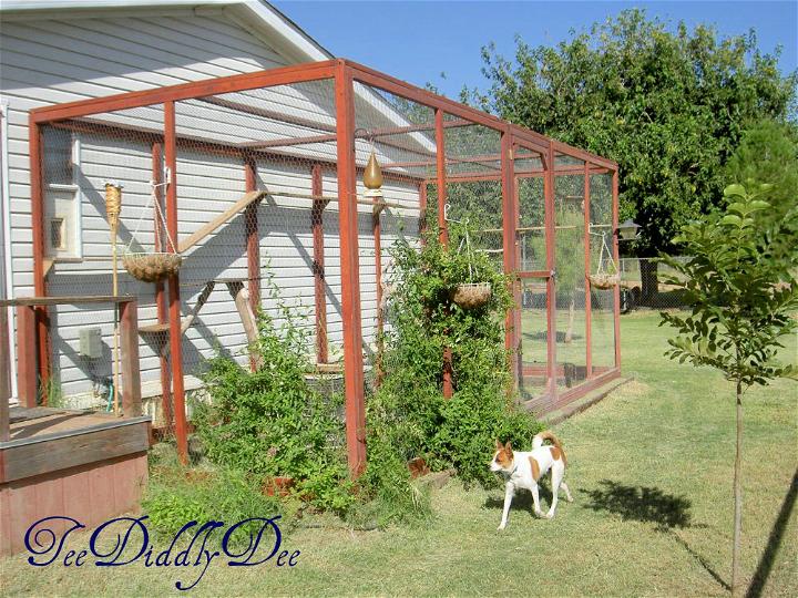 Outdoor Cat Enclosure or Catio