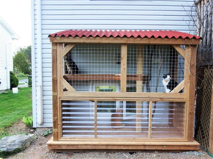 Outdoor Cat Enclosure