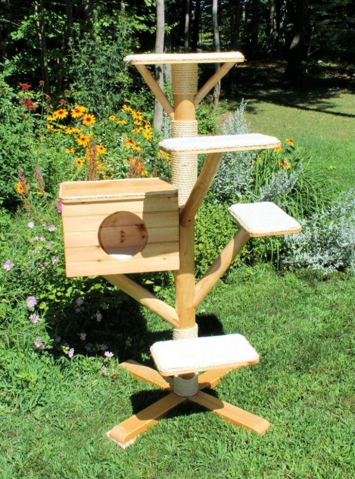 Outdoor Cat Tree Made from Real Trees