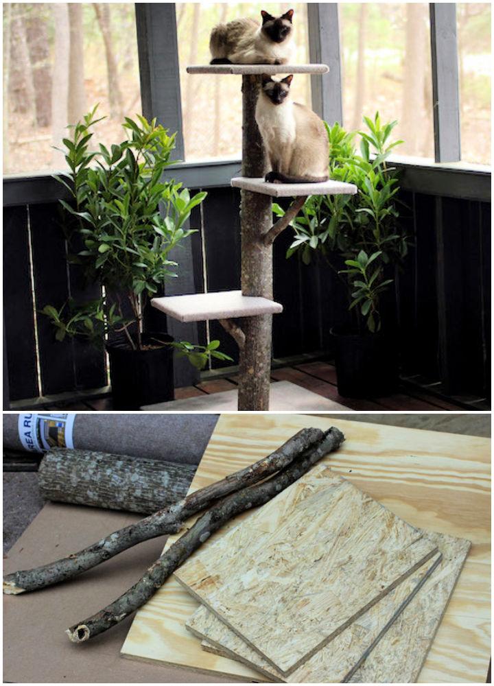 Outdoor Cat Tree Using Real Tree Branches