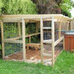 8 Cheap DIY Dog Run Ideas in Backyard
