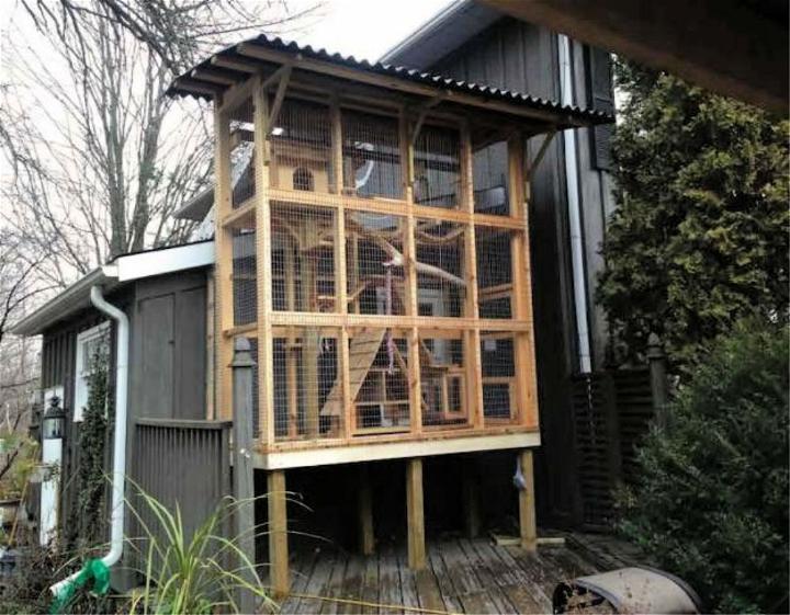 Outdoor Enclosure for Cats