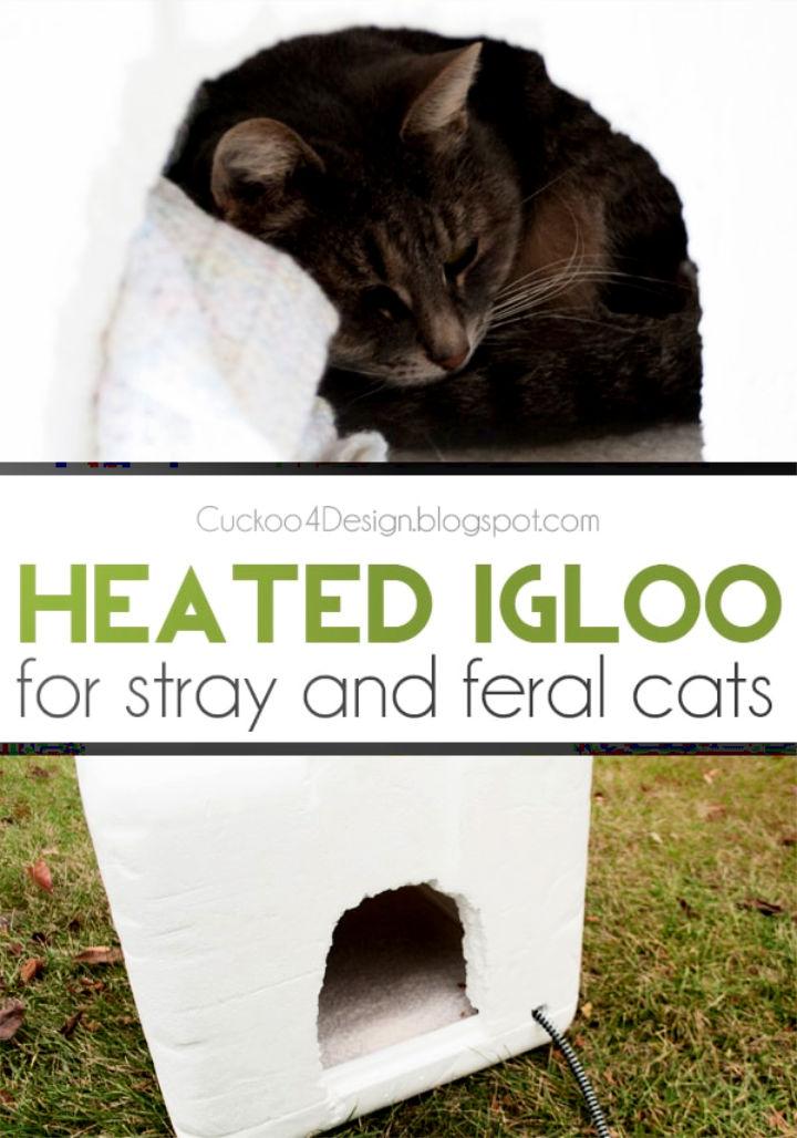 Outdoor Heated Igloo Cat House 1