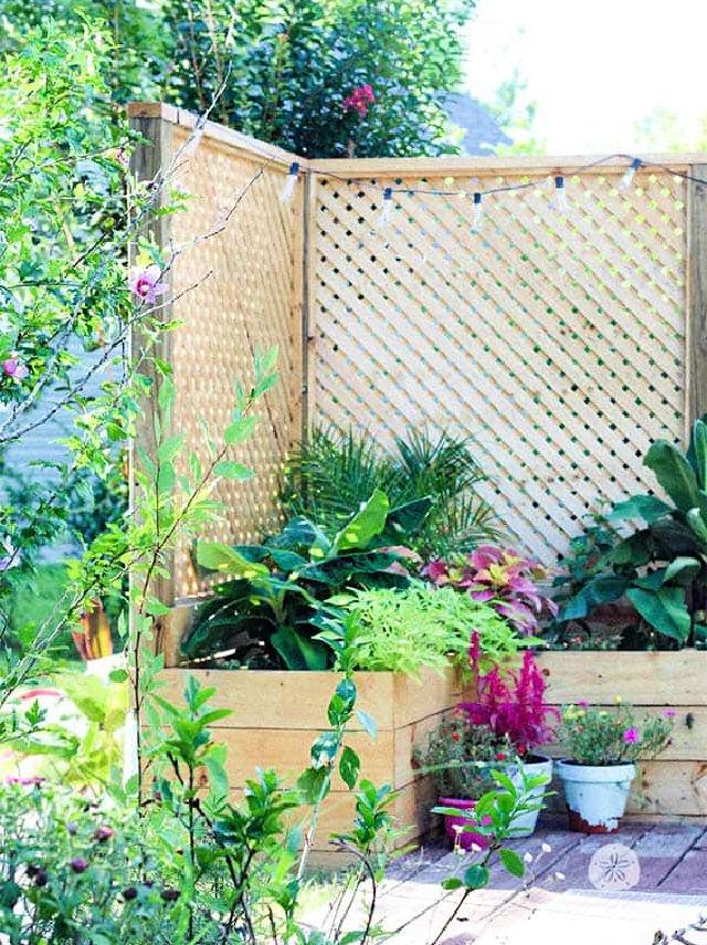 DIY Outdoor Privacy Screen With Planter